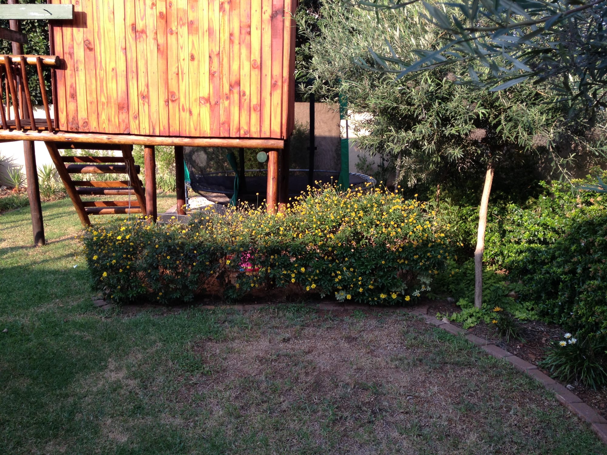 First garden design