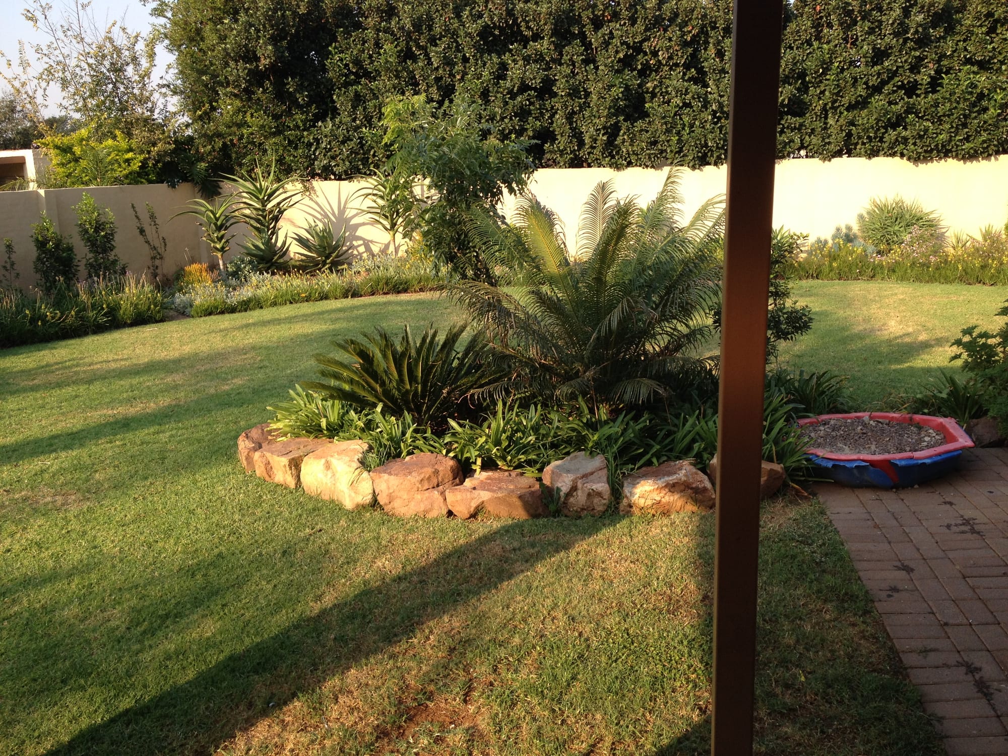 First garden design
