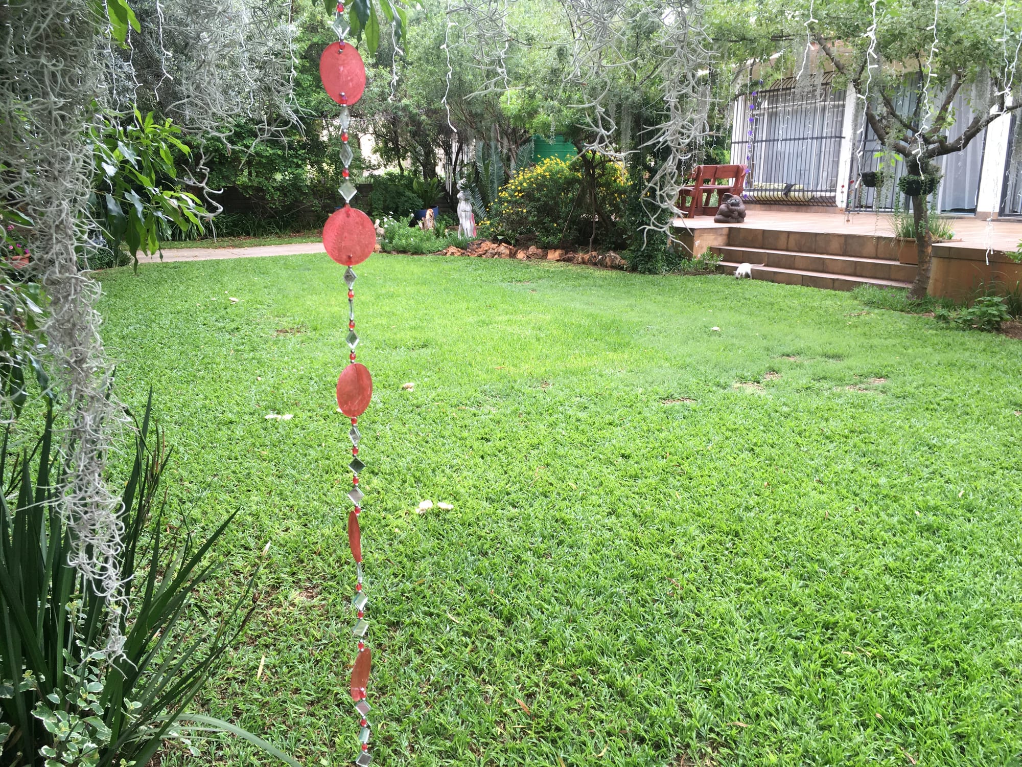 Fairy garden delight