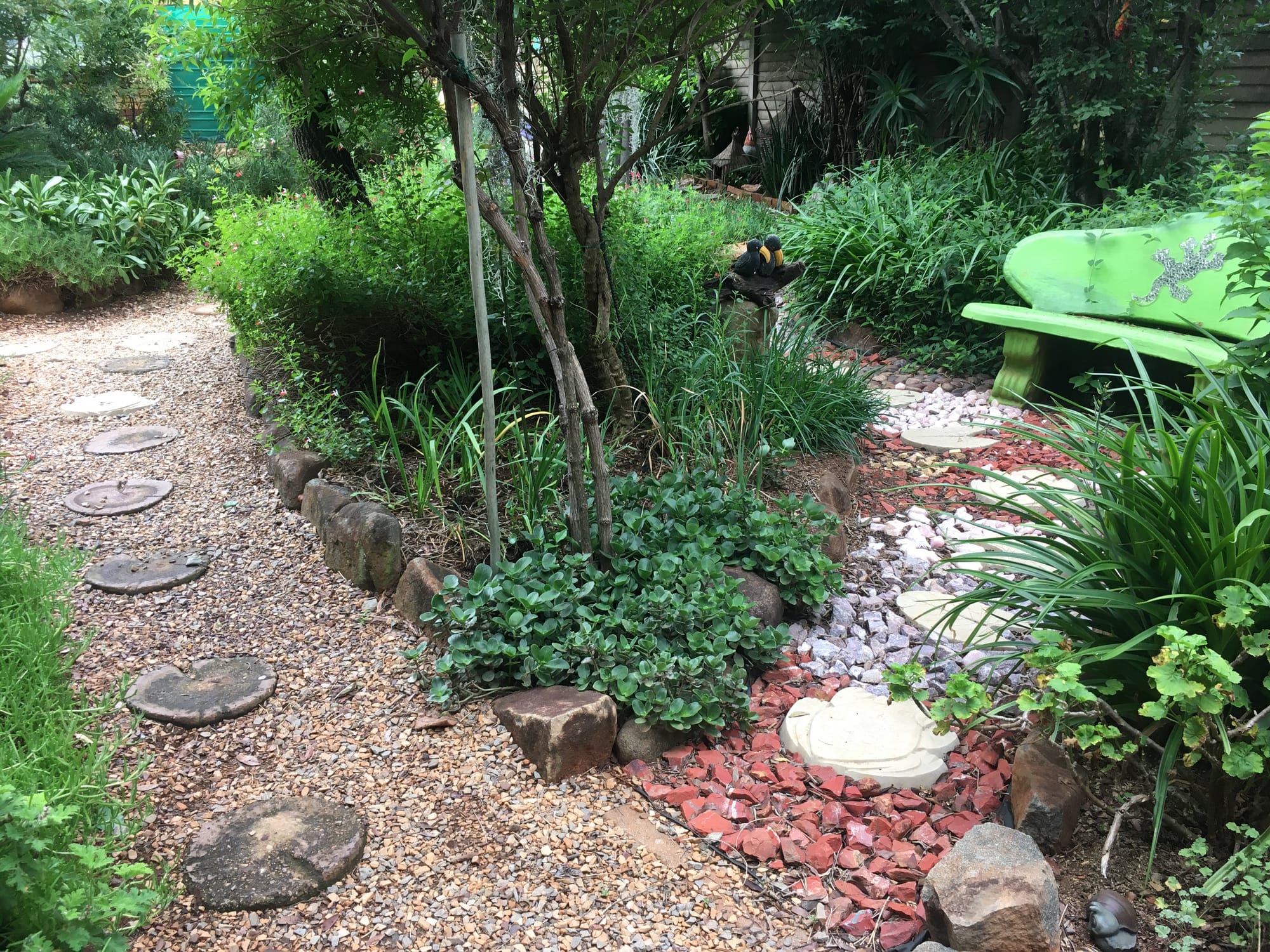 Fairy garden delight