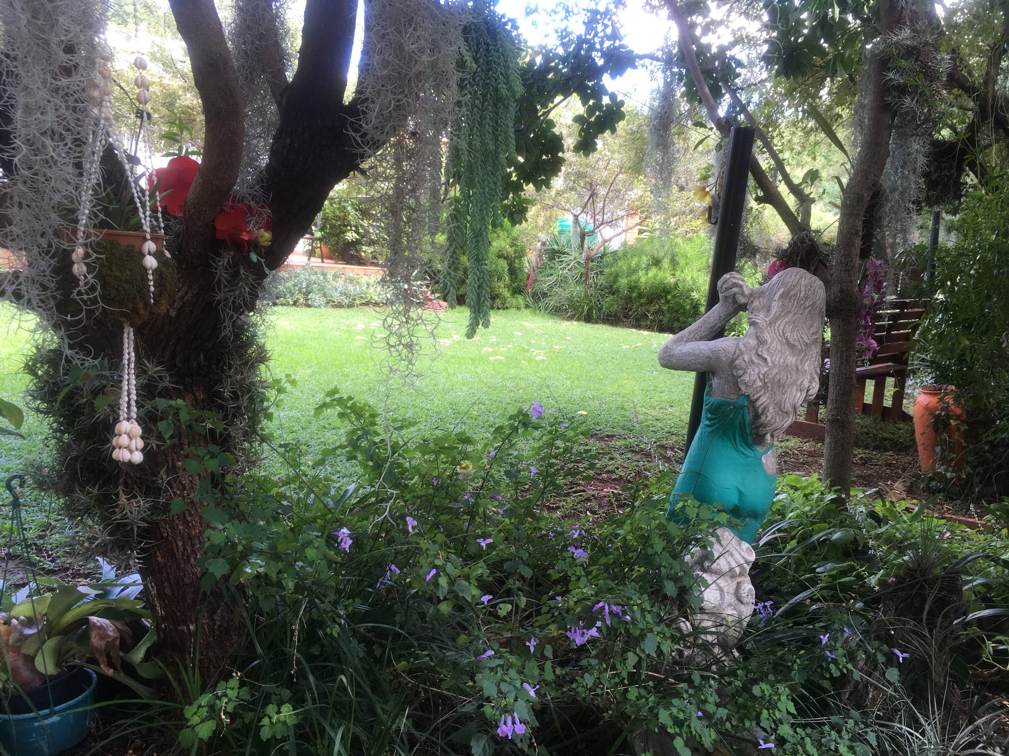 Fairy garden delight