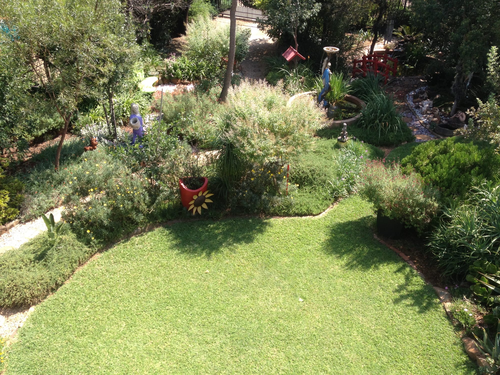 Fairy garden delight