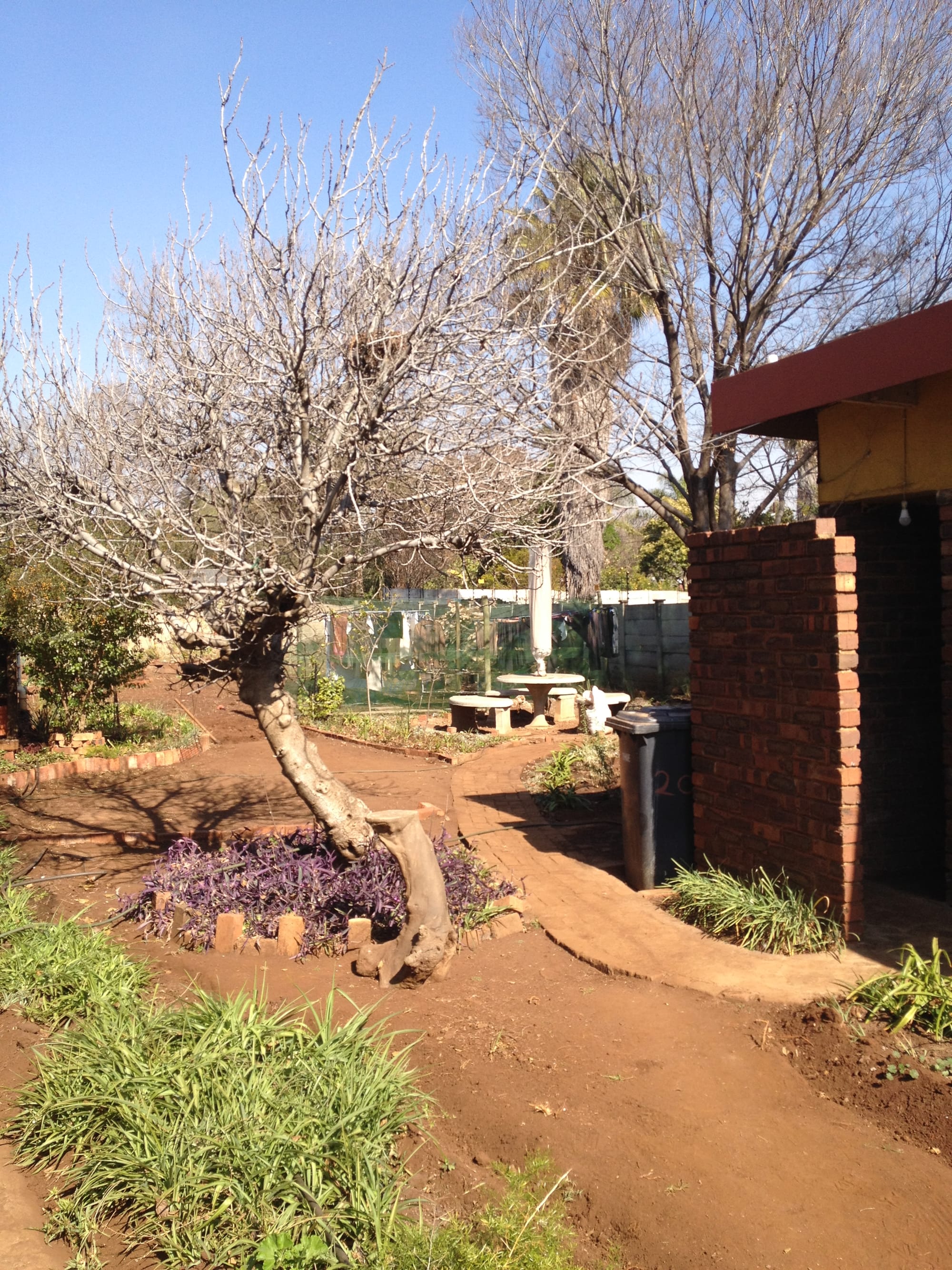 Second garden design
