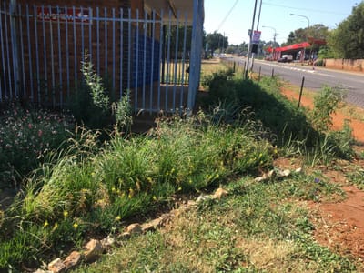 New Clubview post office garden