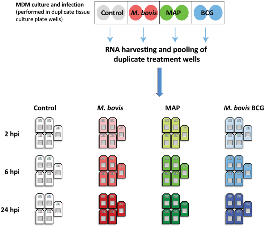 RESEARCH METHODS-QUALITATIVE STUDY DESIGNS-BASING ON NATURE OF THE INVESTIGATION-THE DOUBLE-CONTROL DESIGN