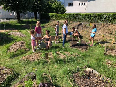 Un projet avec l'école