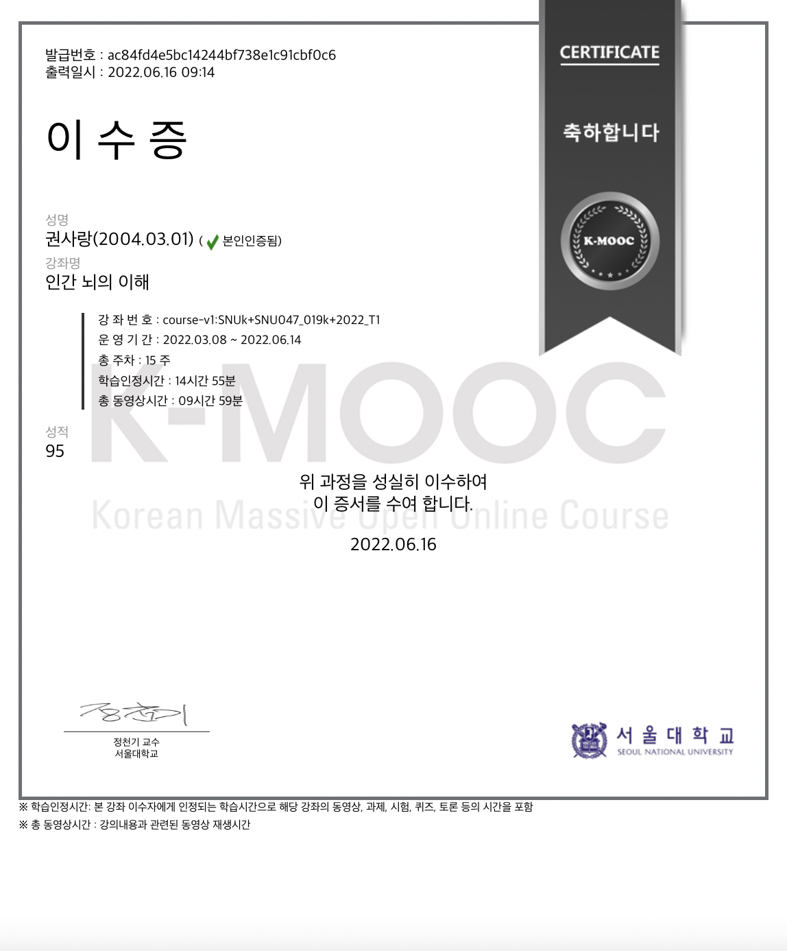 인간 뇌의 이해