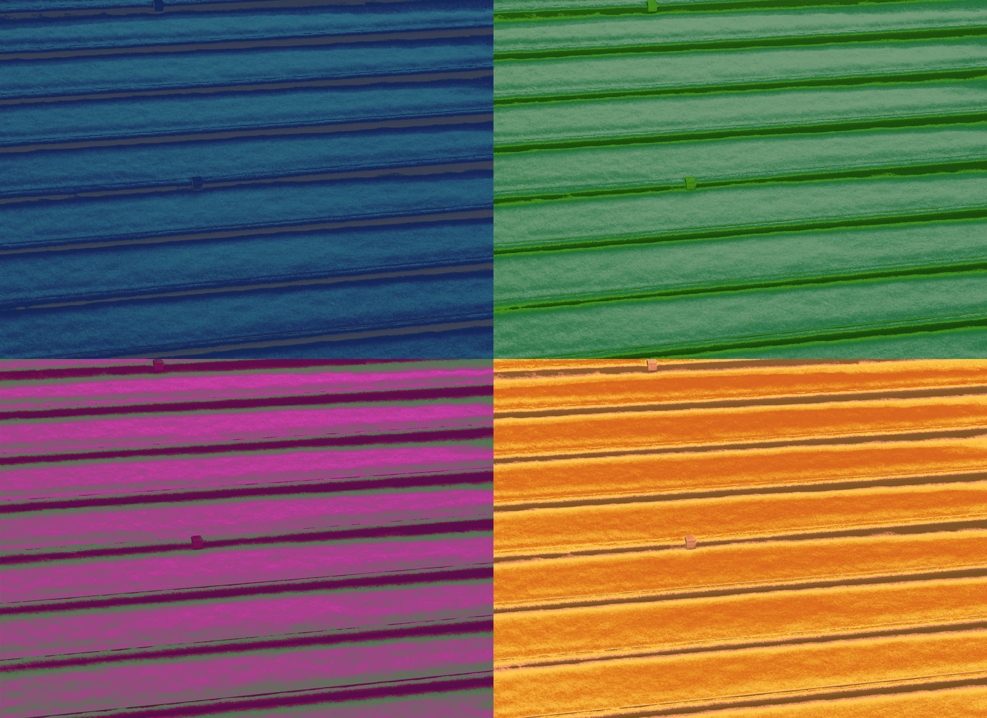 snow piled up on the roof