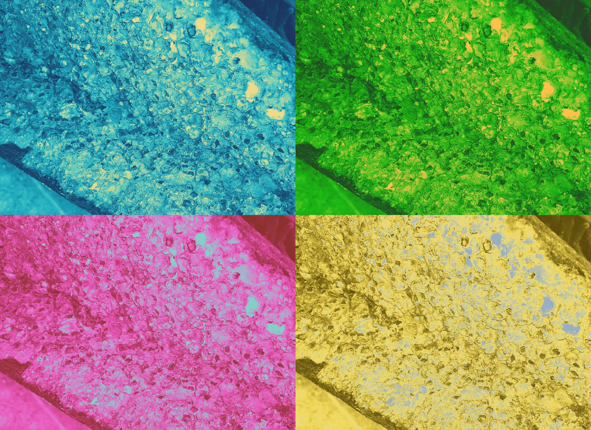 an iron-rusted opener