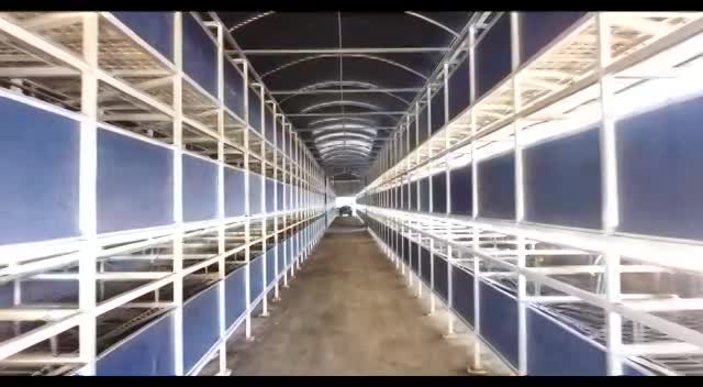 Worms habitat