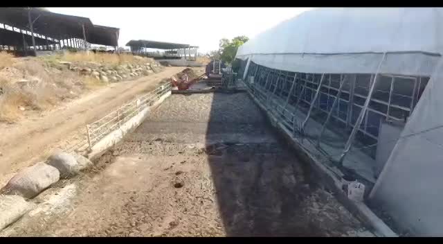 Worms habitat