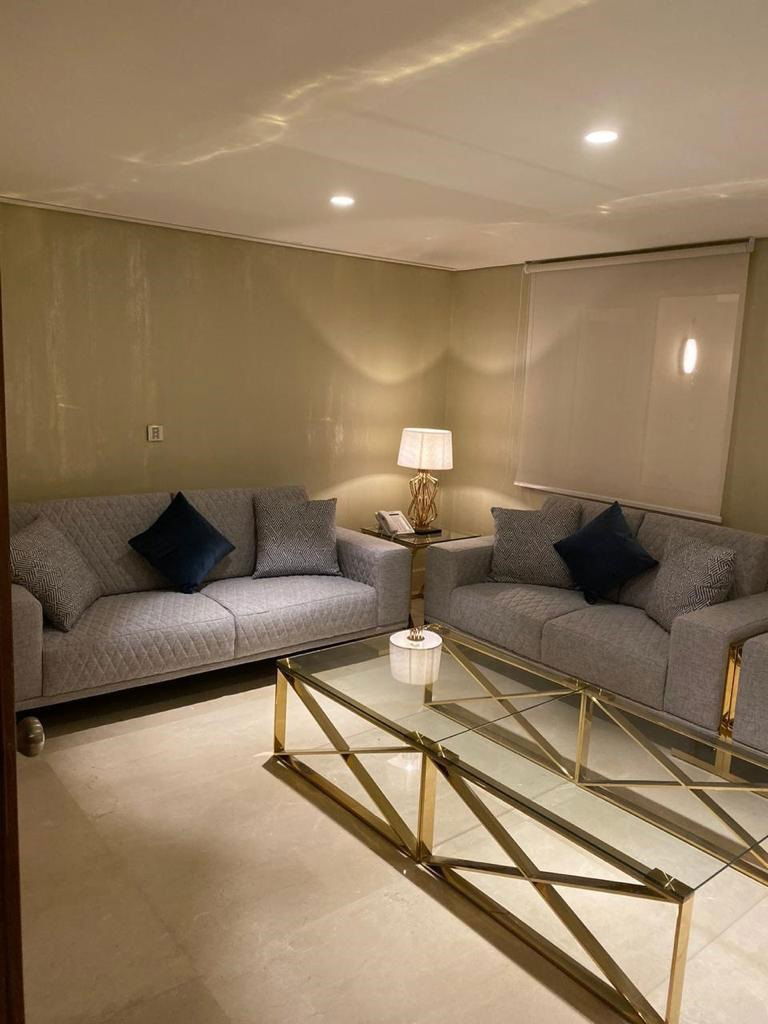 الفن المحترف (اعمال الڤلل والتشطيبات الداخلية)