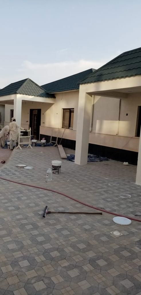 الفن المحترف (اعمال المباني العامة)