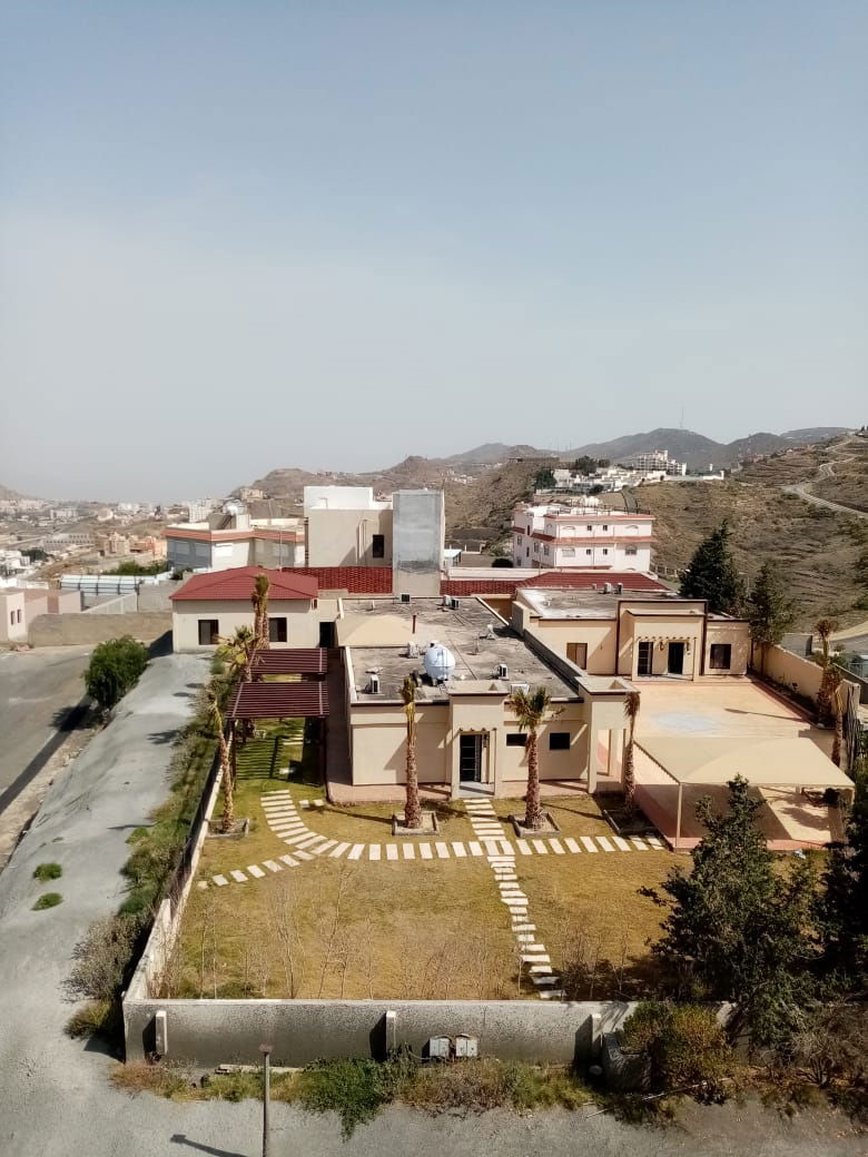 الفن المحترف (اعمال المباني العامة)