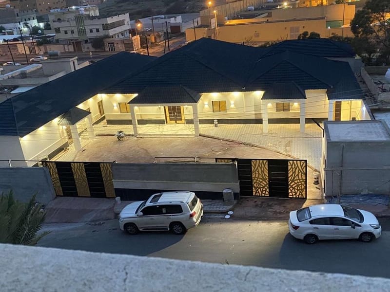 الفن المحترف (اعمال المباني العامة)