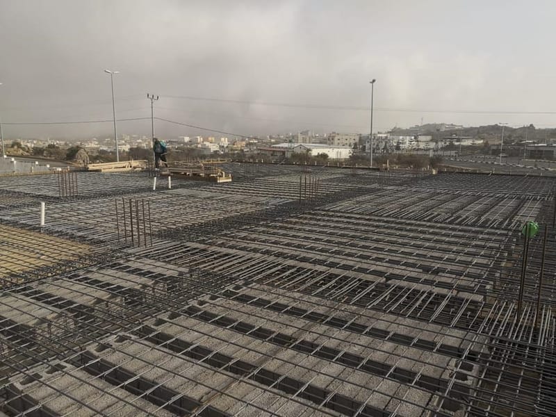 الفن المحترف (اعمال المباني العامة)