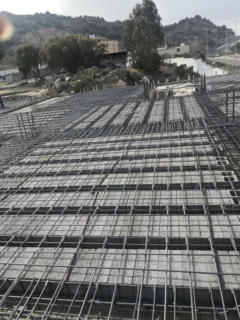 الفن المحترف (اعمال المباني العامة)