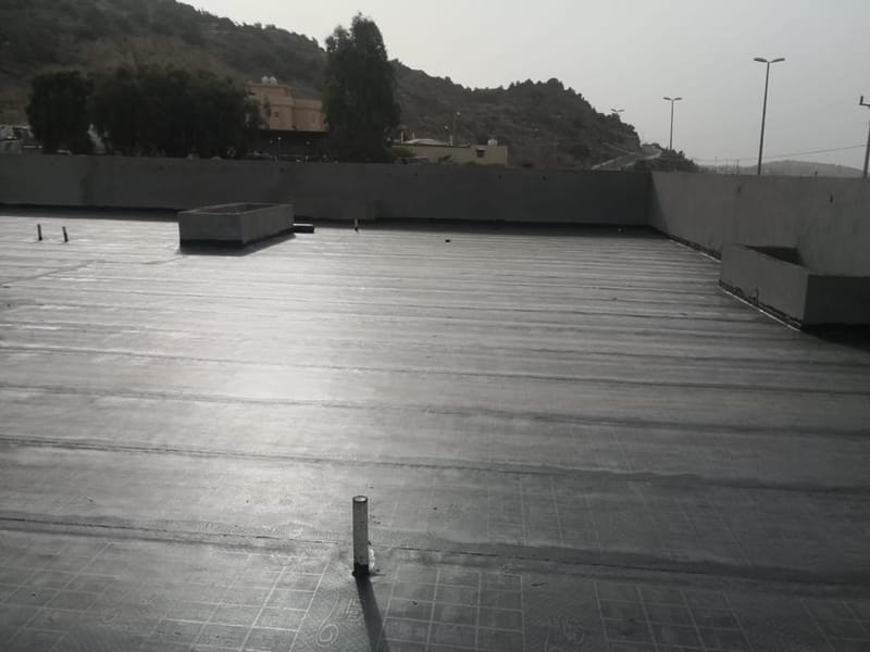 الفن المحترف (اعمال المباني العامة)