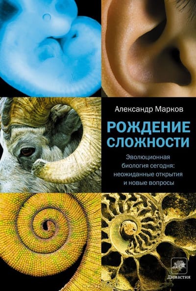 Рождение сложности