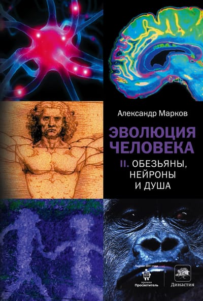 Эволюция человека. Книга 2