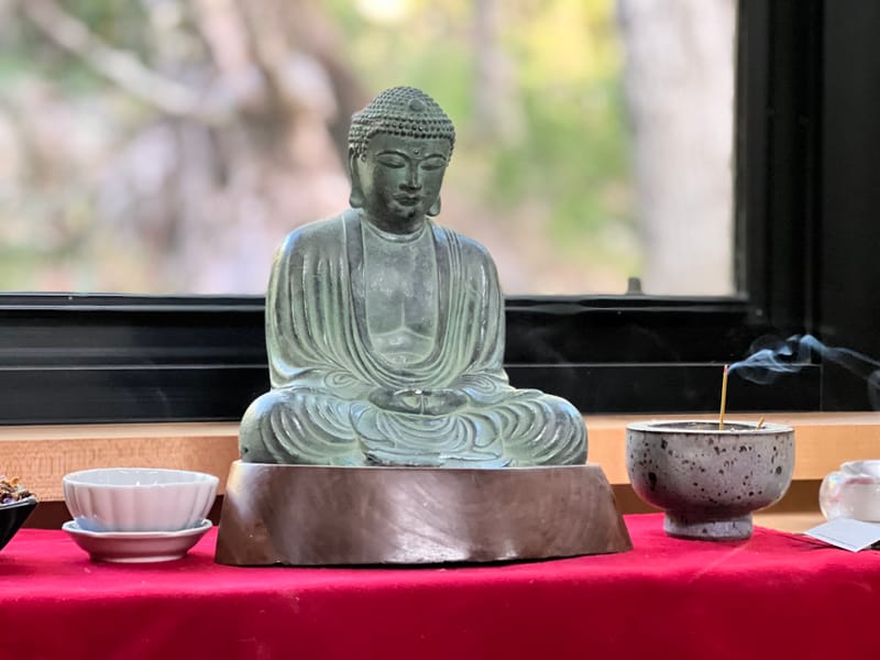 TRUE BODY, TRUE SELF: Radical Presence Through Zen and Yoga ~ SOLD OUT