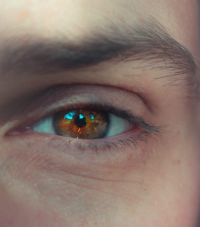 אל תלכו אחר מראה עיניים- וורט לפרשת שלח