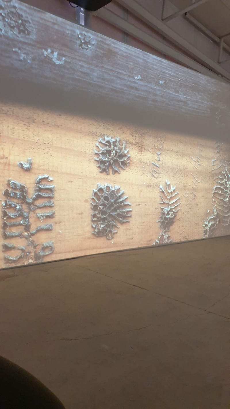 אנה פרומצ'נקו, 245, אוצר: יאיר ברק