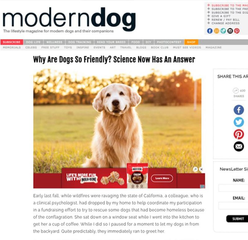 InFrame contextual advertising