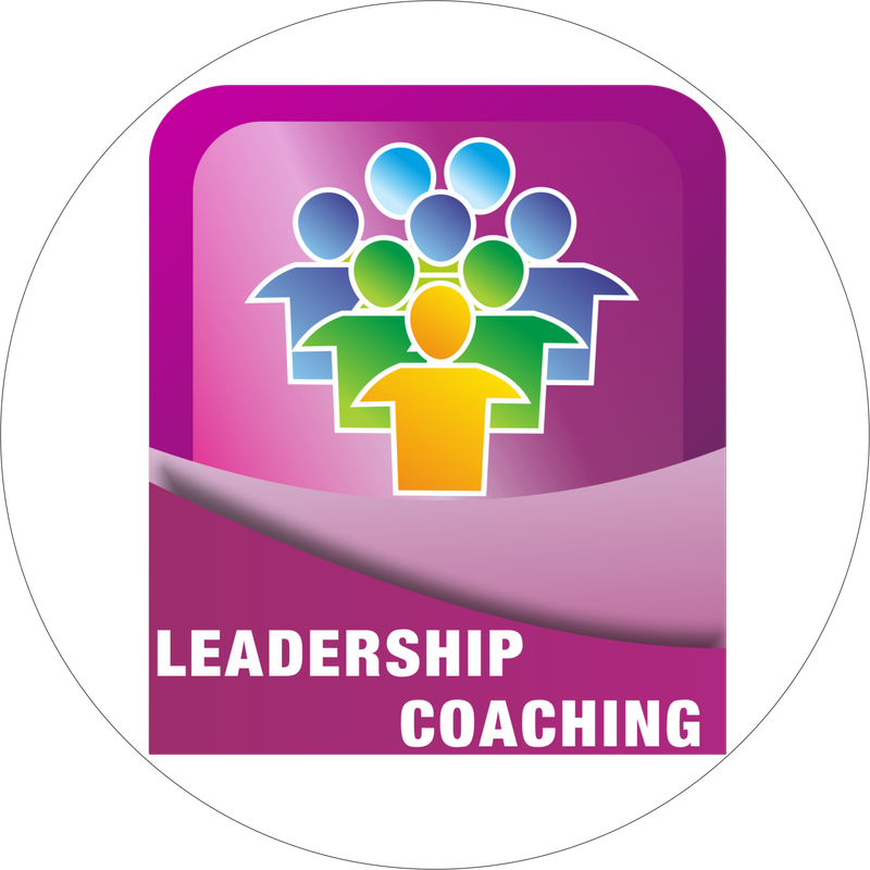 leadership coaching