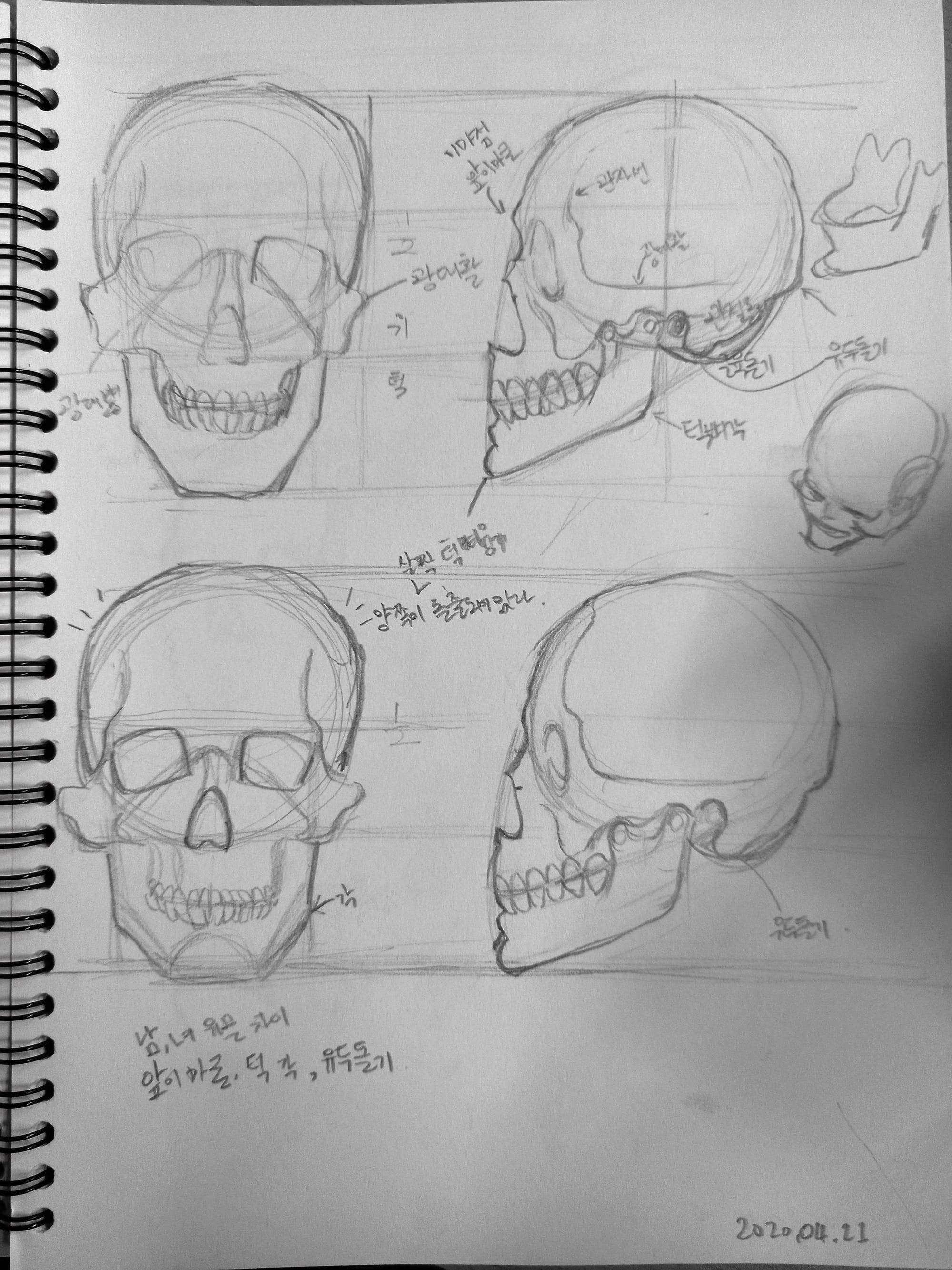 해부학 드로잉 머리