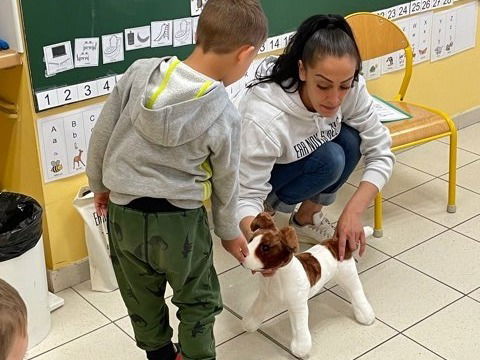 P.E.C.C.R.A.M : Programme d’Education à la Connaissance du Chien et au Risque d’Accident par Morsures
