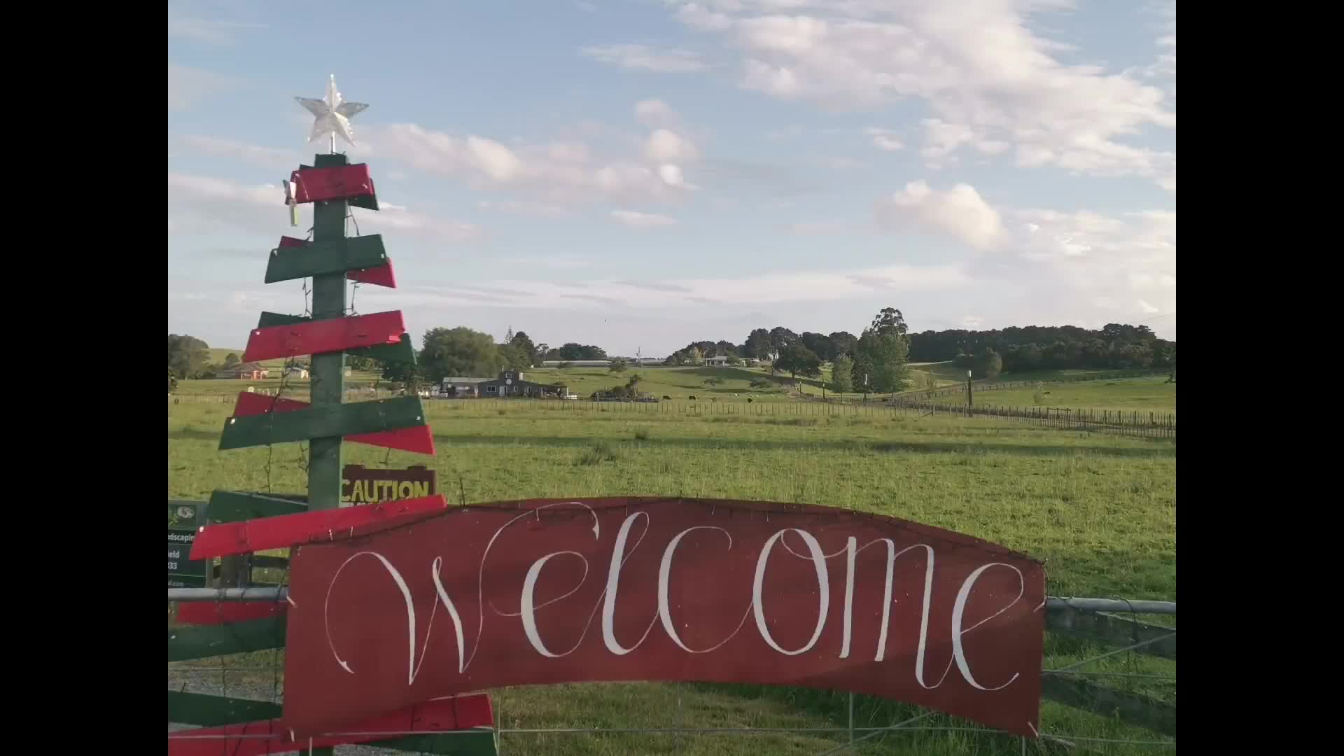 LGL Christmas Lights Display