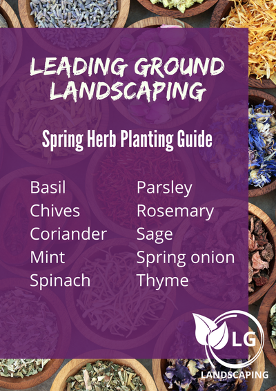 Spring Planting Guides