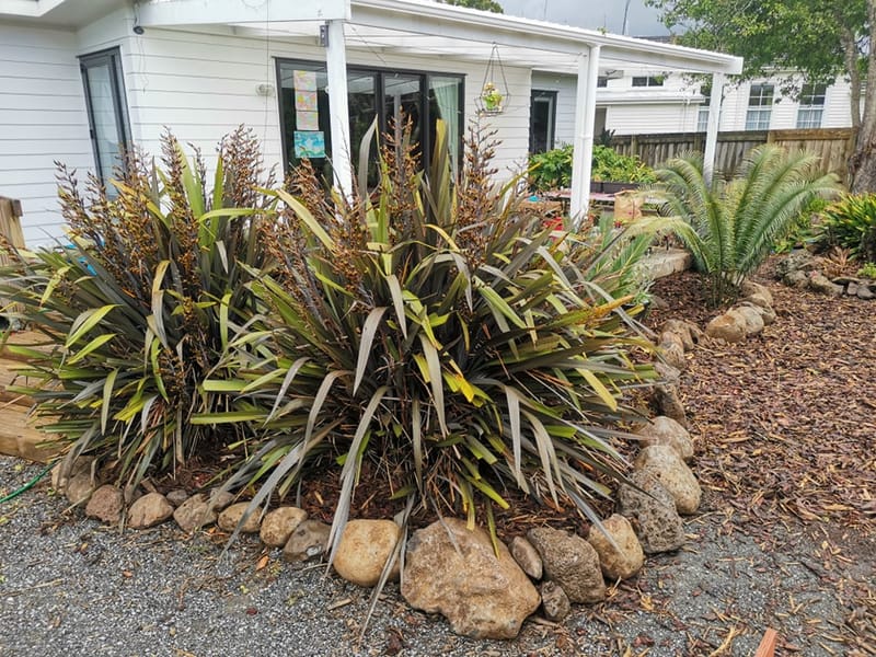 Rental Property Landscaping - Re Barking Gardens and Landscaping