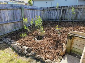 Developer Testimonial