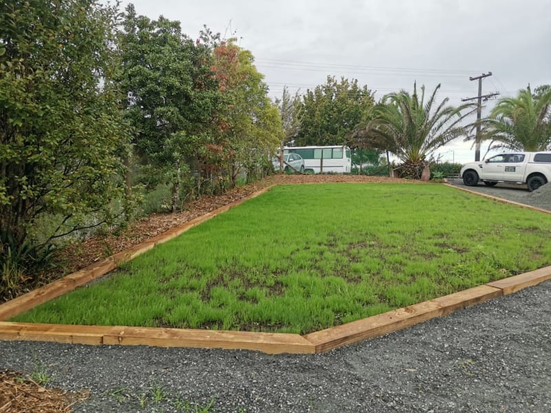 Lawn Rebuild and Grass Seed