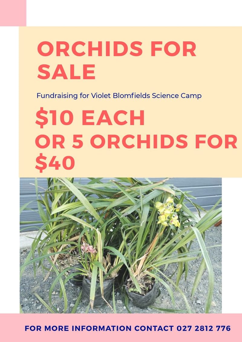 Auckland University Science Camp