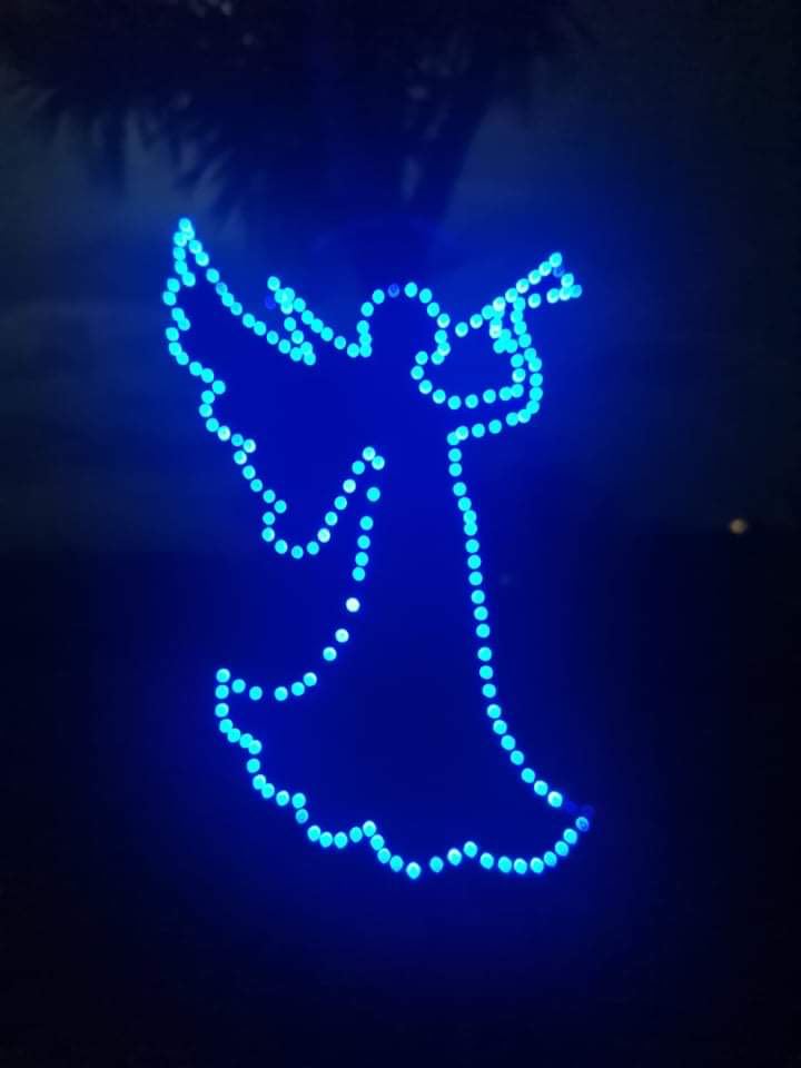 LGL Christmas Lights Display