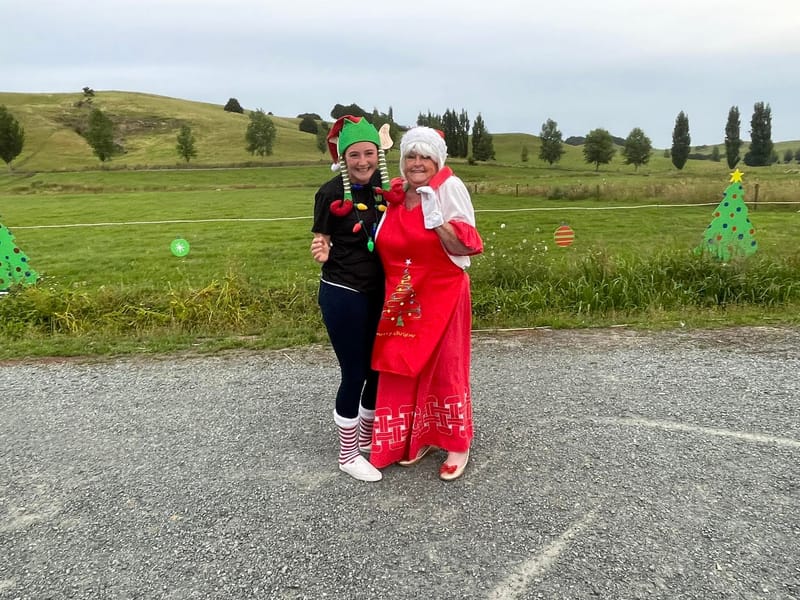 LGL Christmas Lights Display