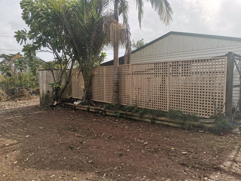 Trellis Fencing / Privacy Screen