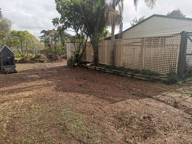 Trellis Fencing / Privacy Screen