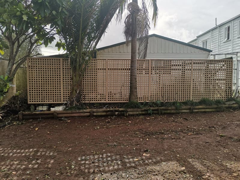 Trellis Fencing / Privacy Screen
