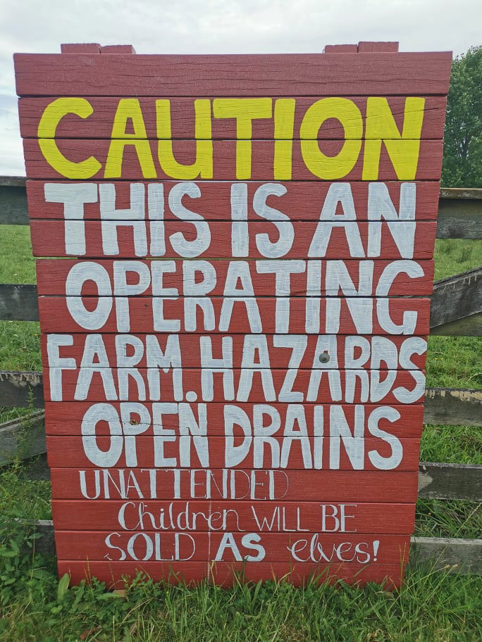 LGL Christmas Lights Display