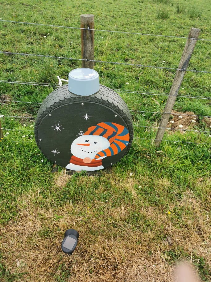 LGL Christmas Lights Display