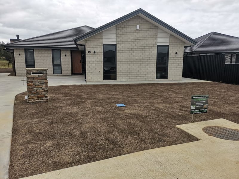 New Build Soil and Seed