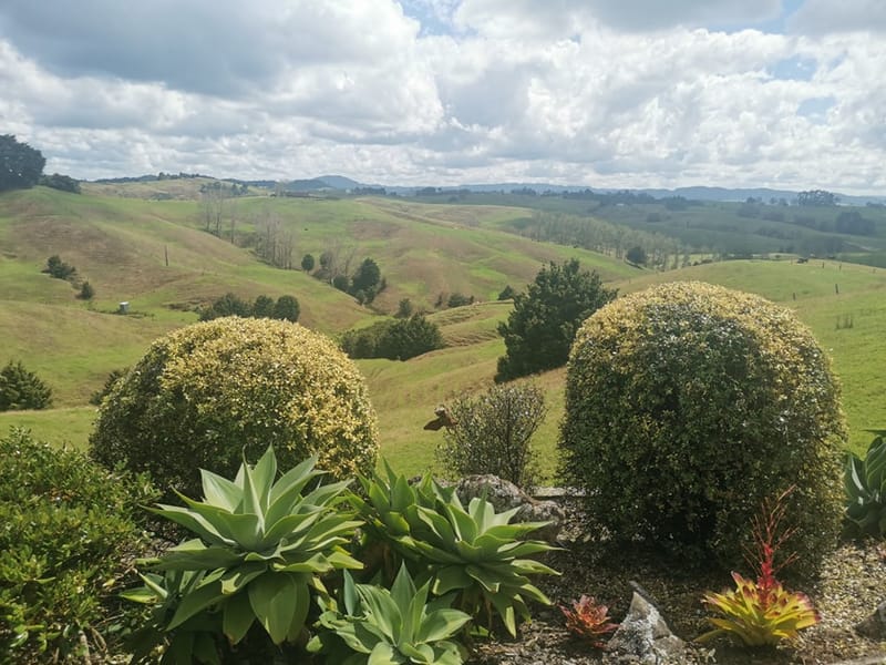 Garden pruning