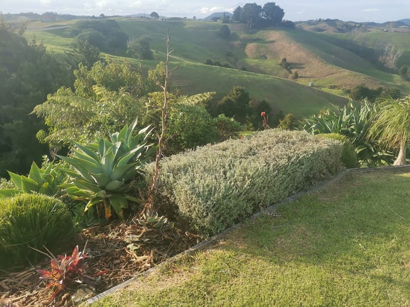 Garden pruning