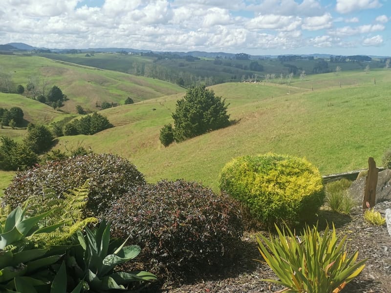 Garden pruning