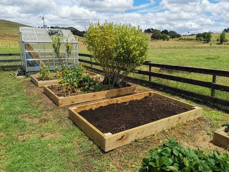 Vege Garden Rebuild and Maintenance