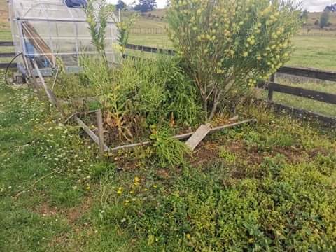 Vege Garden Rebuild and Maintenance